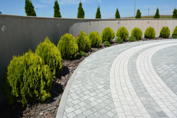 Best Driveway Paving Contractor  in Gages Lake, IL